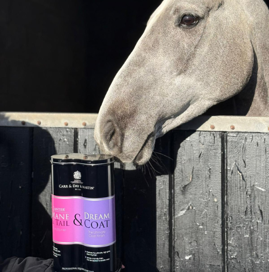 Duo Tin with a horse