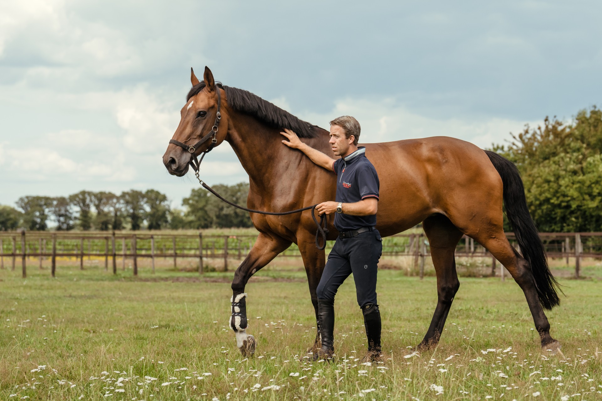 page-banner