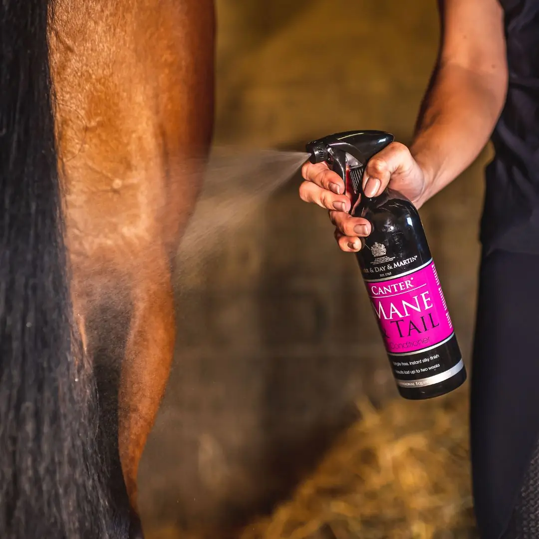 Nadine Philips Canter Mane & Tail