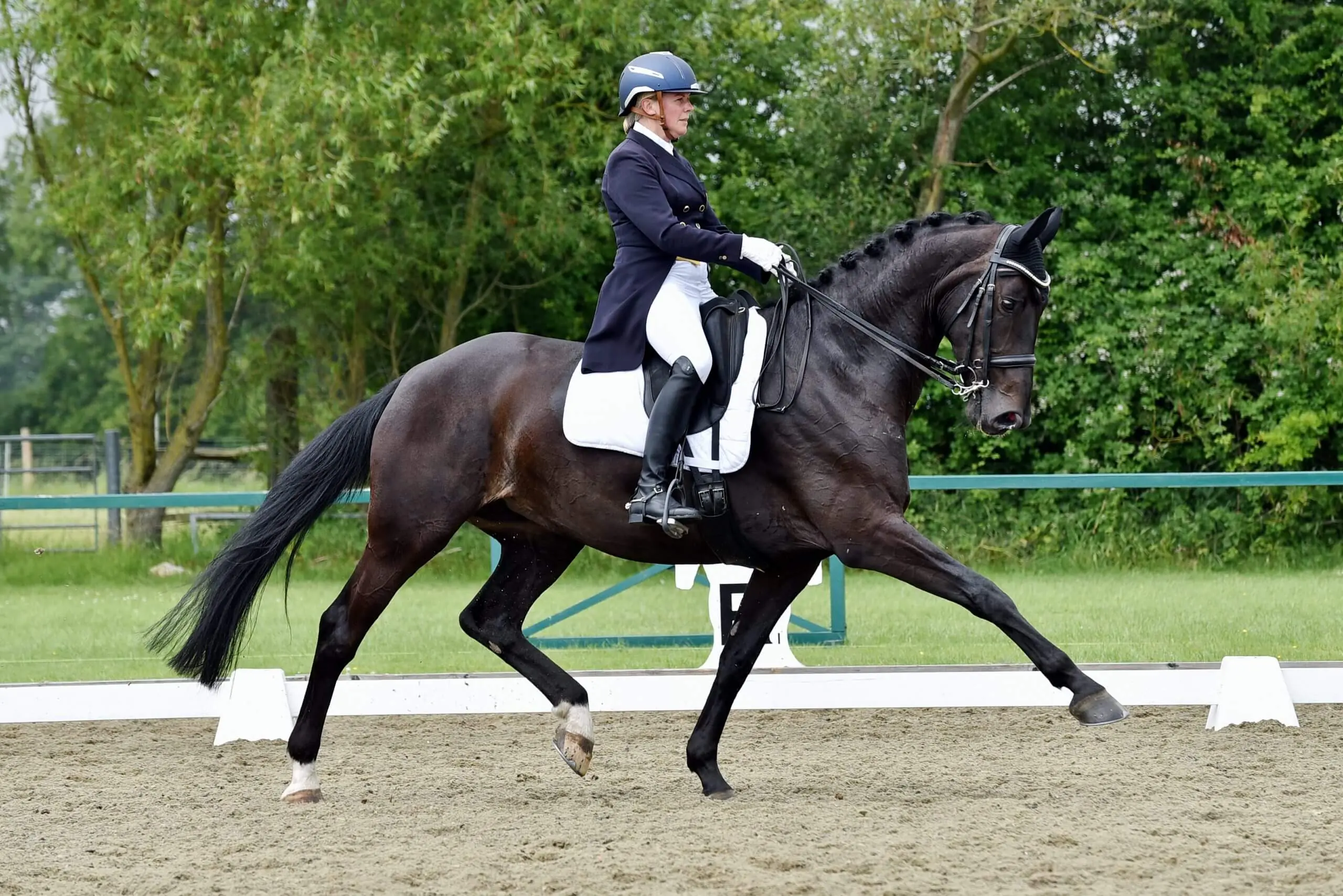 Heike Holstein