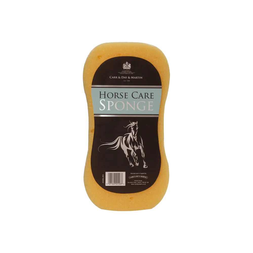 sponge