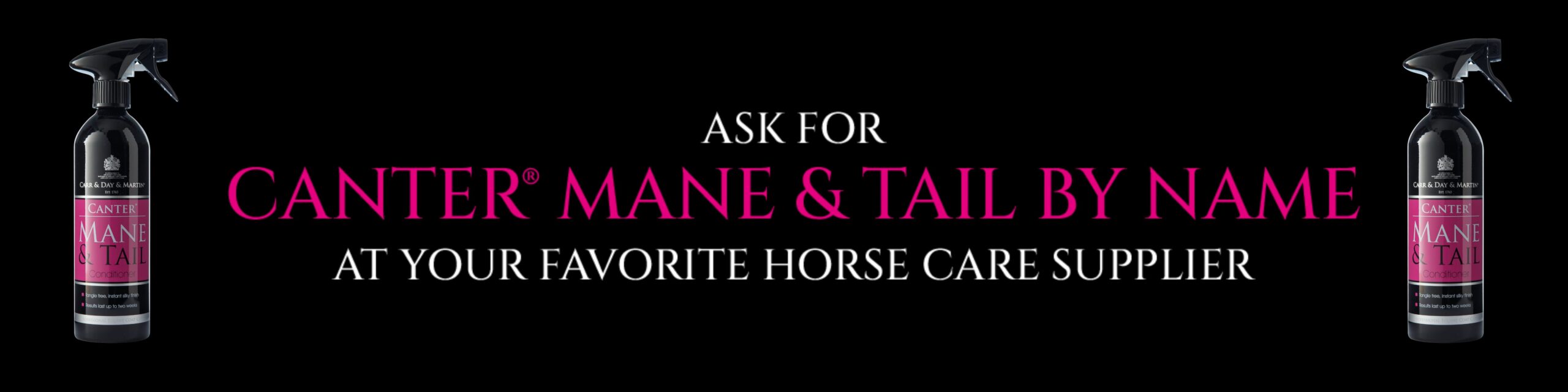 Canter Mane & Tail