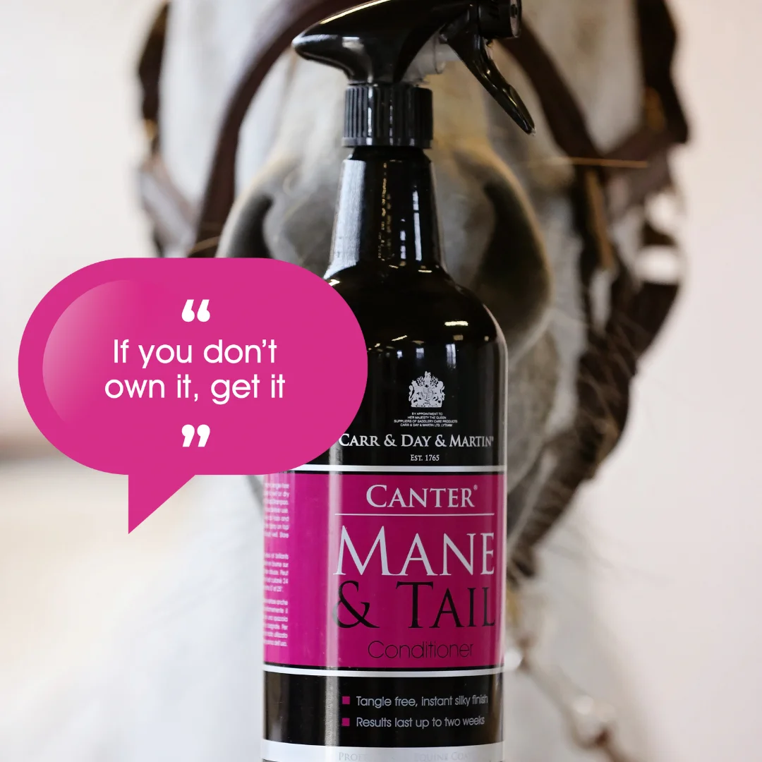 Canter Mane & Tail