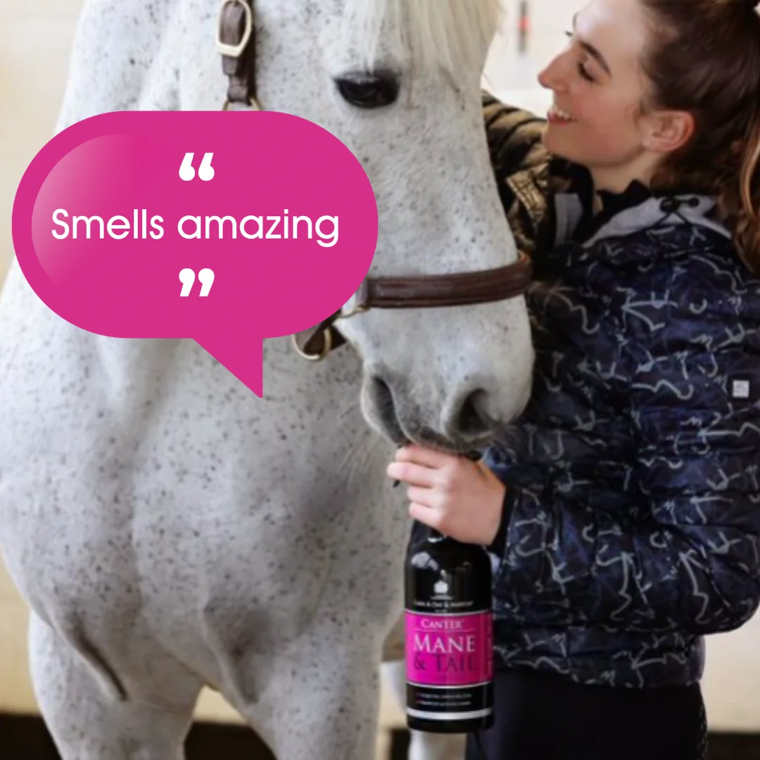 The best conditioner for your horse