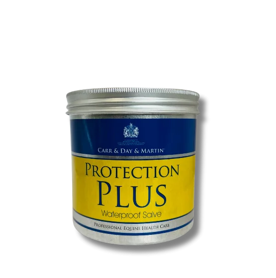 Protection Plus