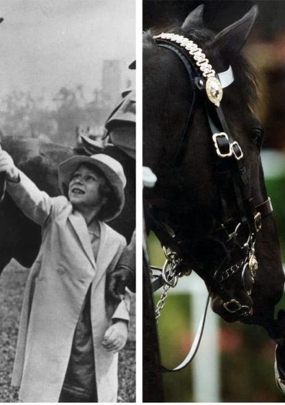 Queen Elizabeth II was a lover of all horses from a very young age all the way up to the day she died