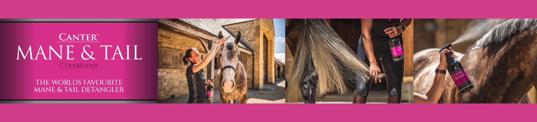 Canter Mane & Tail