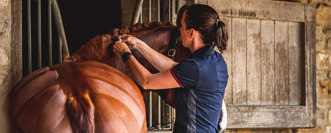 Getting your horse mane plaits ready for a show