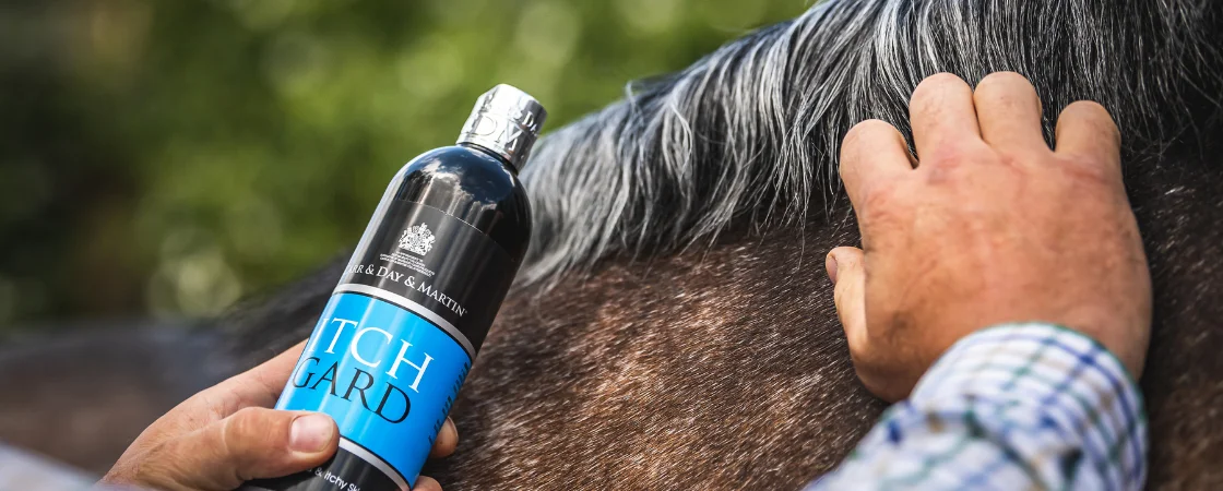 Soothing lotion for horses