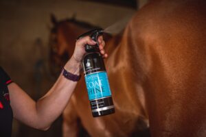 Make your horses Coat Shine