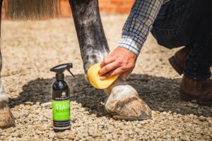 Stable Stain Remover for horses