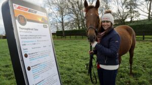 Thouroughbred Horses