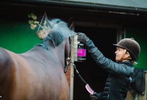 Canter Mane & Tail Review