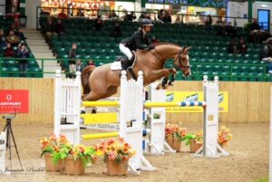 Showjumping Top Tips