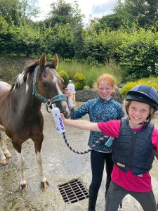 Pony shampoo with Gallop Conditioning and Stain Removing