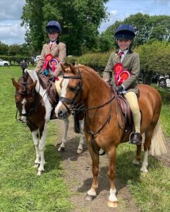 Working Hunter Ponies