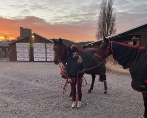 Racehorse Grooming