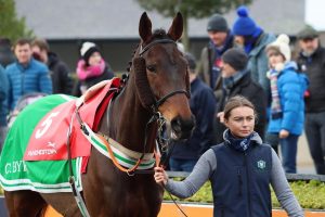Grooming in a racing yard