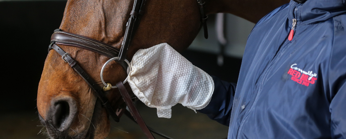Best way to clean your leather