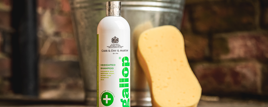Remove dry skin and dandruff from my horse