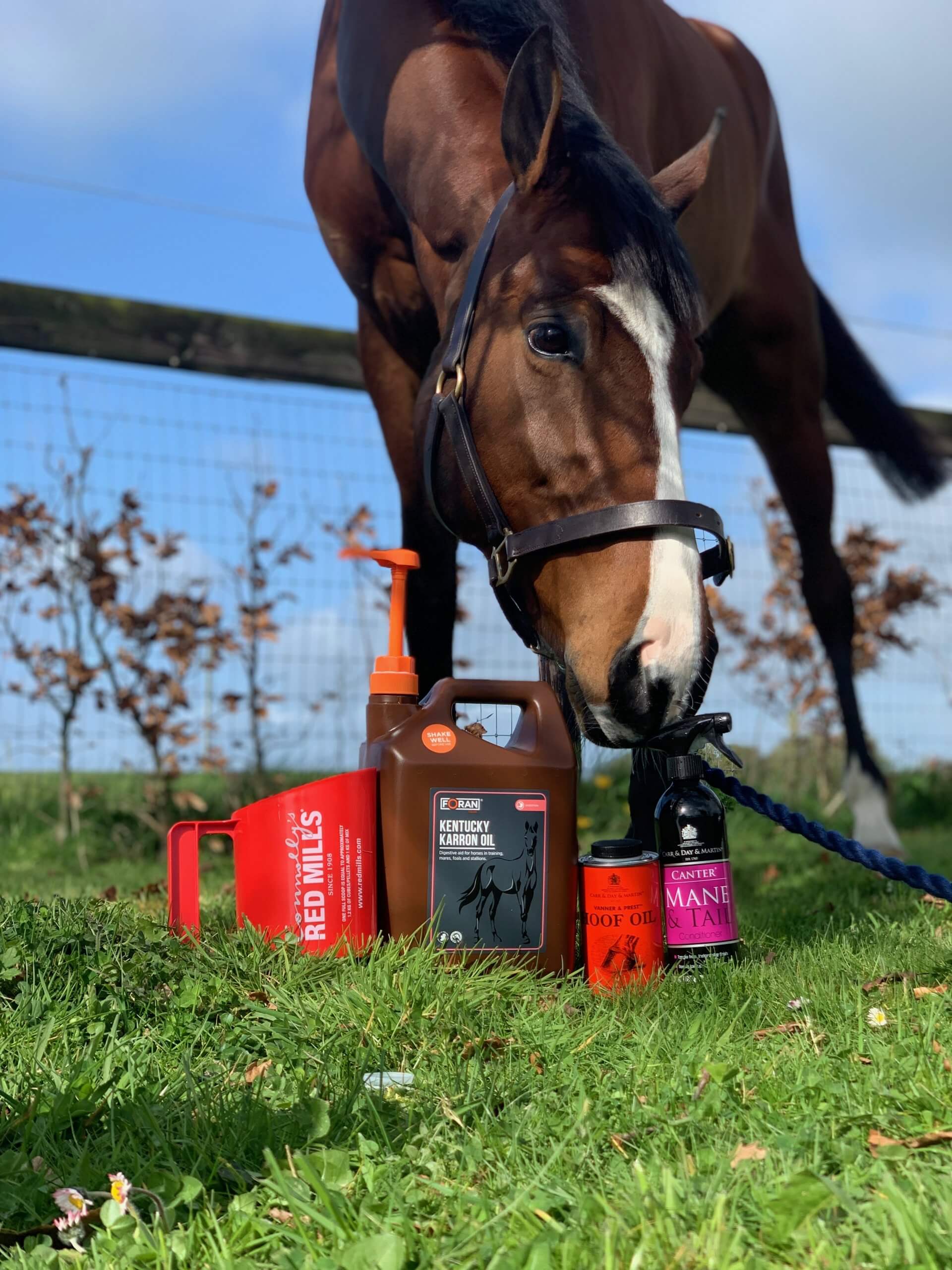 The World’s Oldest Equine Product Manufacturer Sold to Connolly’s RED