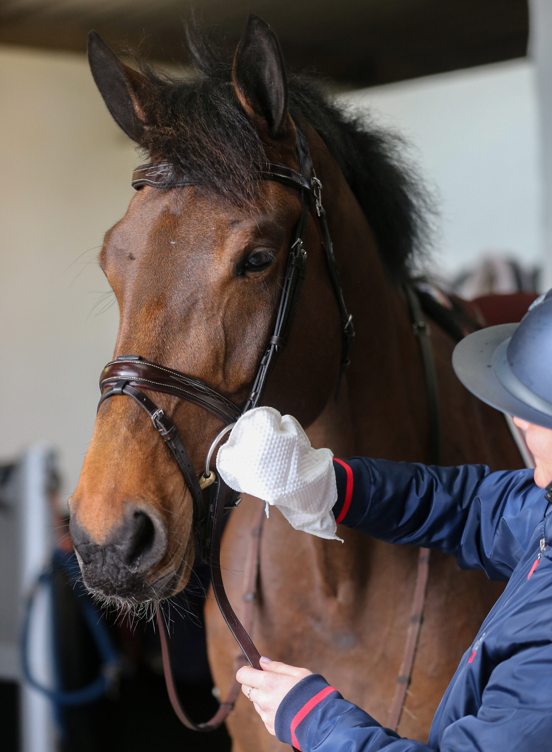 Belvoir-Tack-Cleaning-Mitt-7-1-scaled