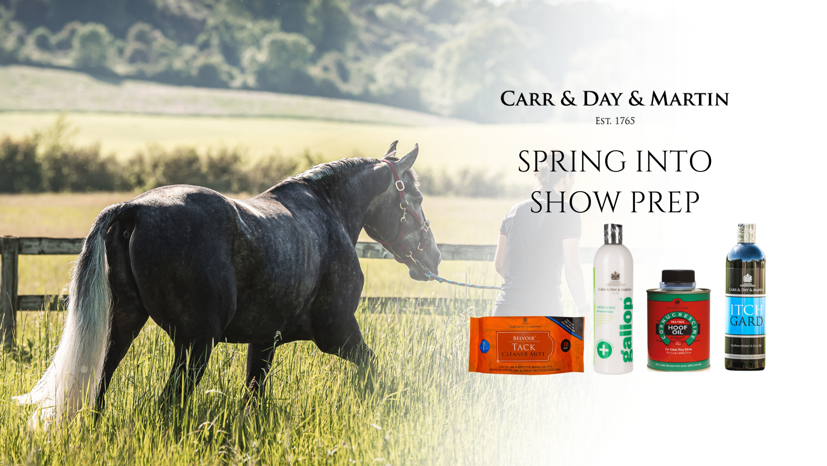 Carr & Day & Martin Horse Grooming Sponge