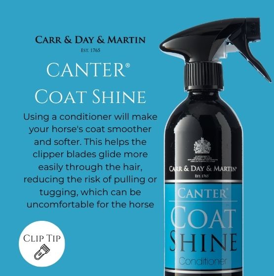 Canter Coat Shine - 555px x 560px
