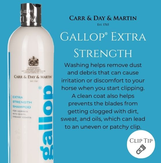 Gallop Extra Strength - 555px x 560px