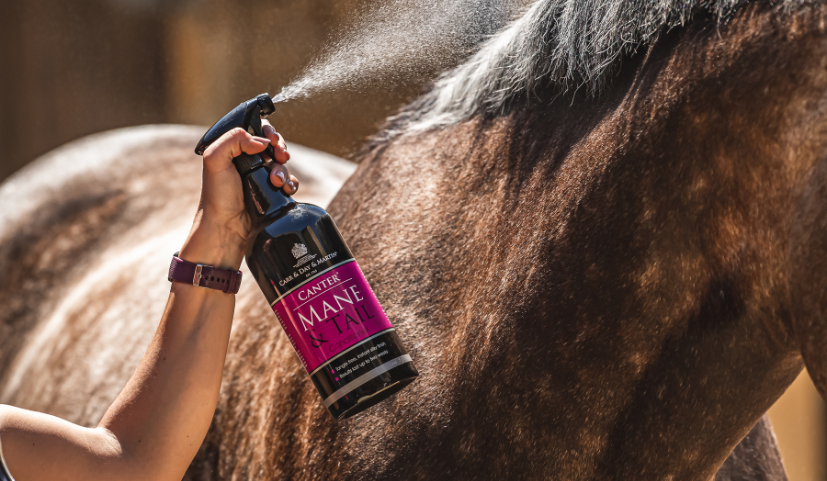 The Most Popular Mane & Tail Detangler Worldwide
