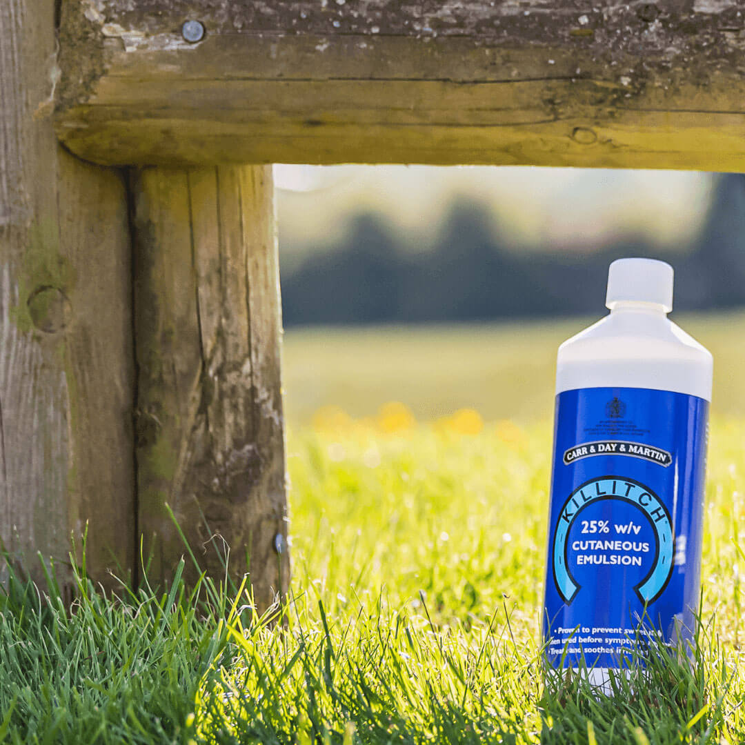 Equine Sweet Itch: Prevent and Treat with Killitch®