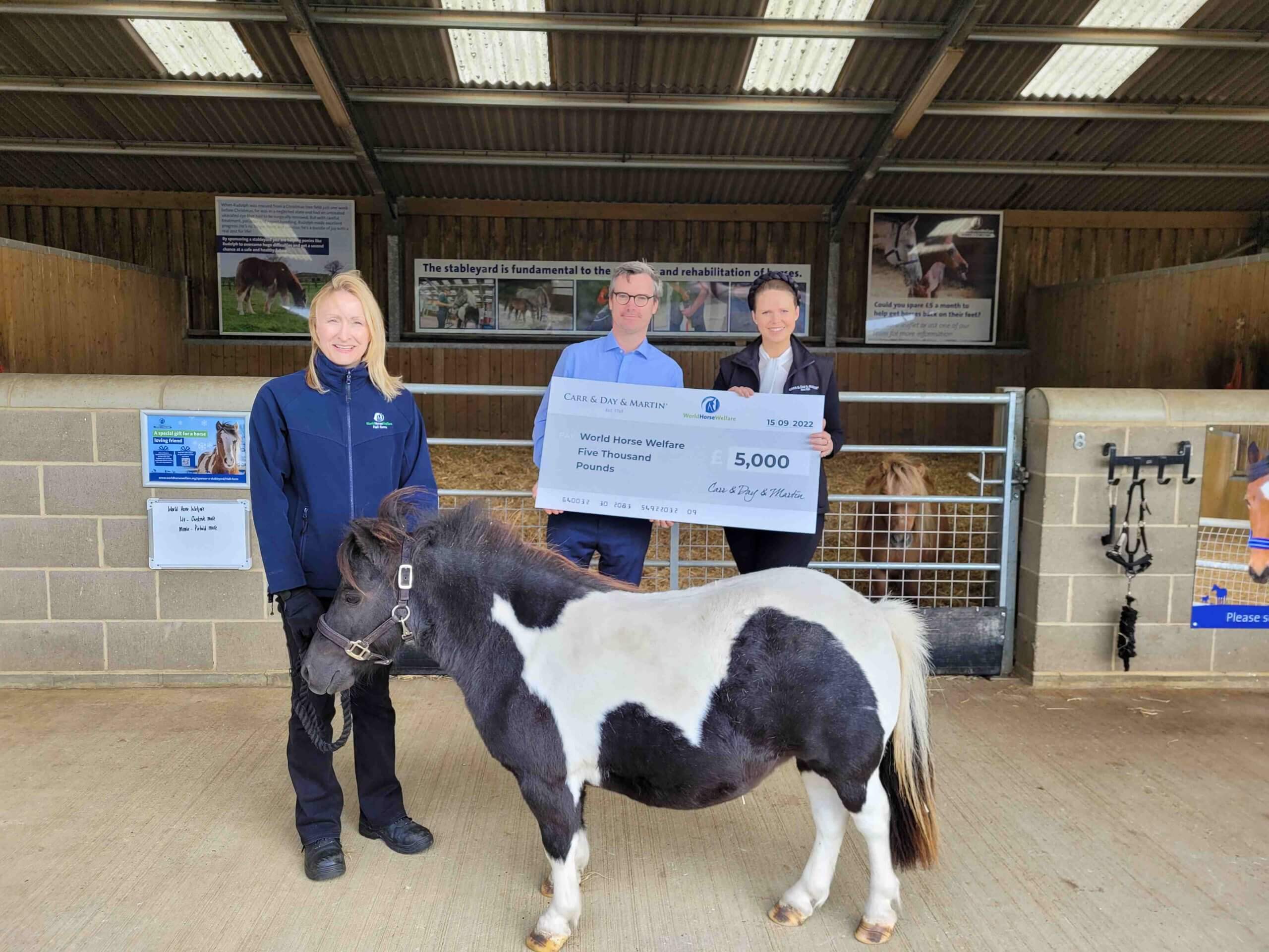 Carr Day Martin sponship World Horse Welfare