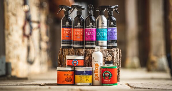 Carr & Day & Martin Horse Care | Where to buy online