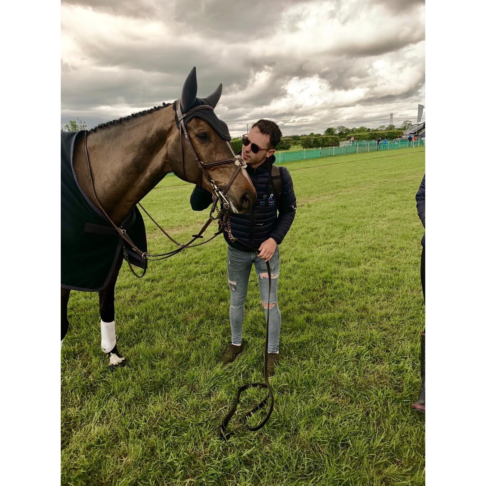 John O'Regan Horse Grooming