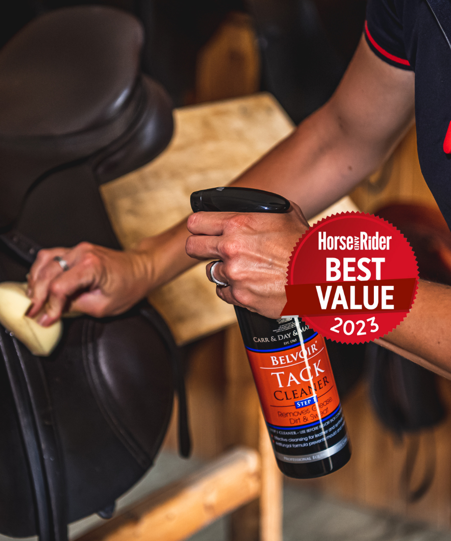 Horse & Rider Best Value 2023