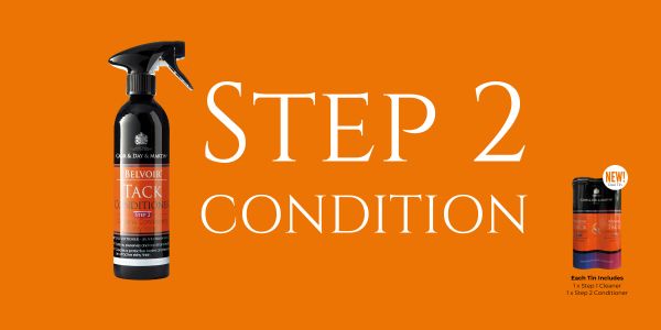 Step 2 Condition