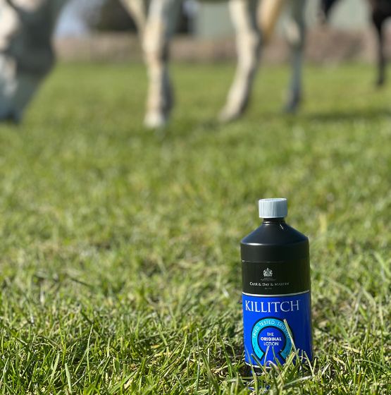 Killitch - 555px x 560px (2)