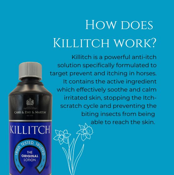 Killitch - 555px x 560px (3)
