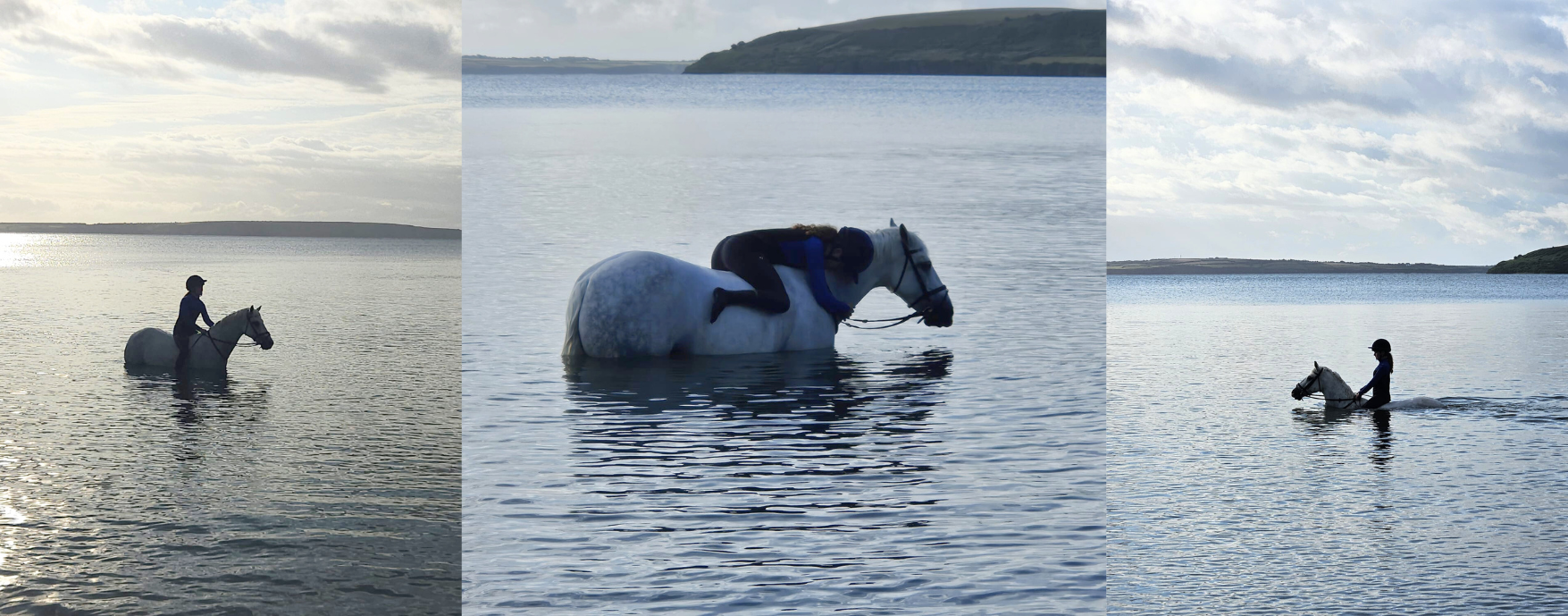 pony on the beach