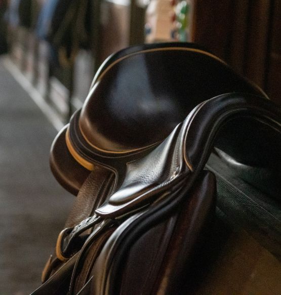 Looking after your leather tack with CDM