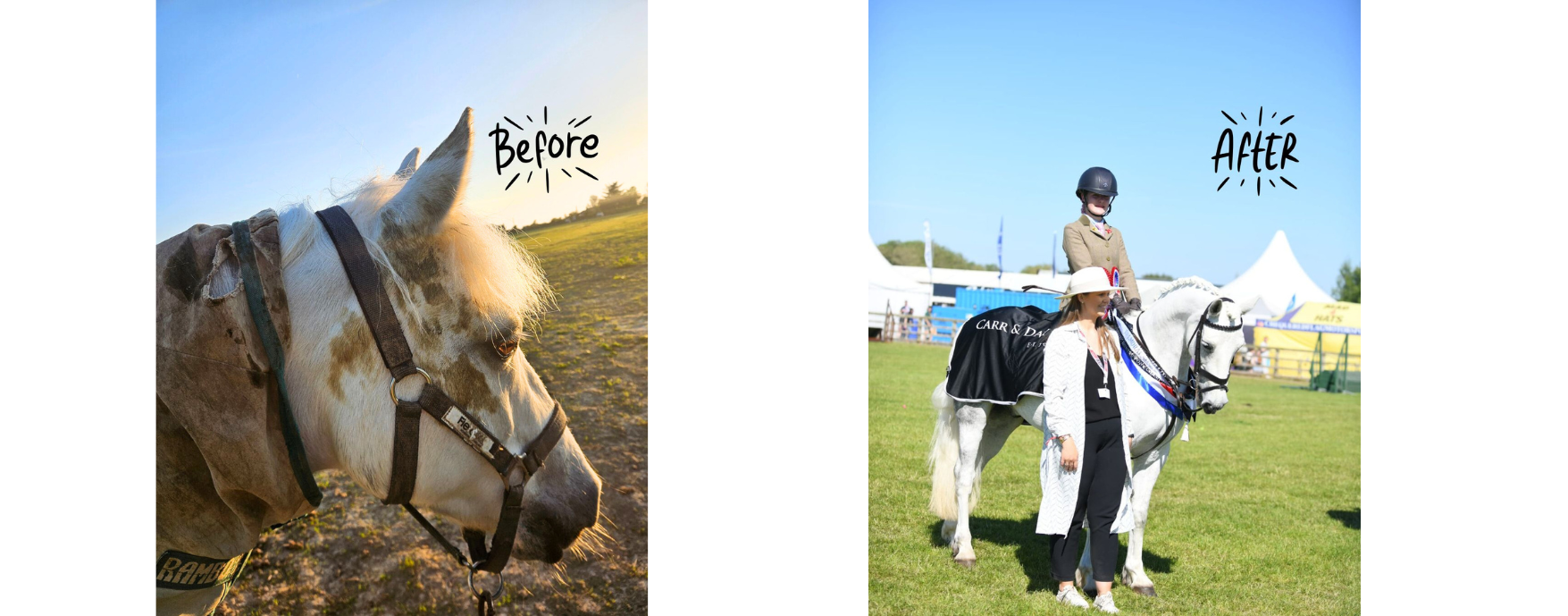 Get your grey pony clean