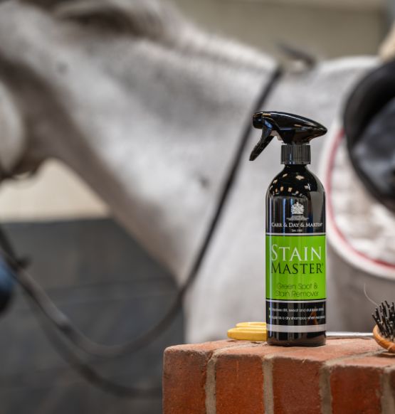 Cleaning your horse in the winter
