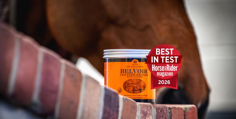 Winner of the H&R Best in Test award