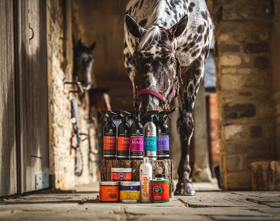 Horse Grooming Products