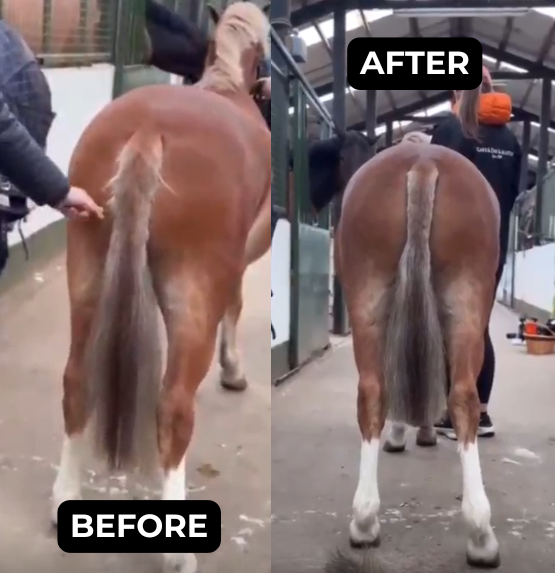 Ciara Mullen CDM Shorty before and after