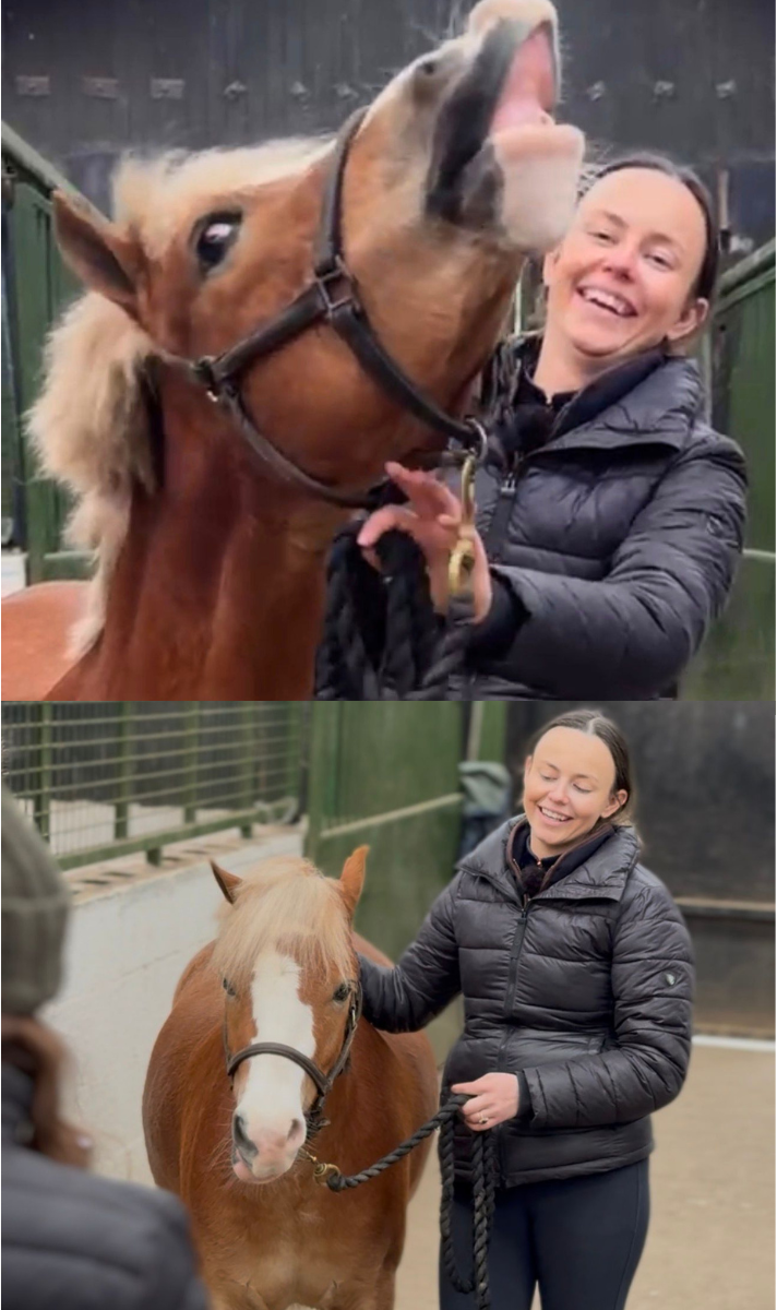 Ciara Mullen x the Irish Field with pony episode 2