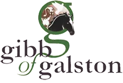 Gibbs of Galston