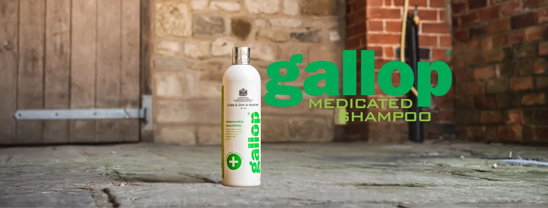 Gallop Medicated Shampoo for horses